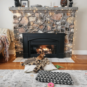 A fireplace with large stone pieces has small lights hanging from it, a few sentimental items on the mantle, and a small dog lying on a sweater and cushion in front of it. There is a rug on the wooden floor with another cushion and a few dog toys. There is a side of an armchair holding a blanket to the left.